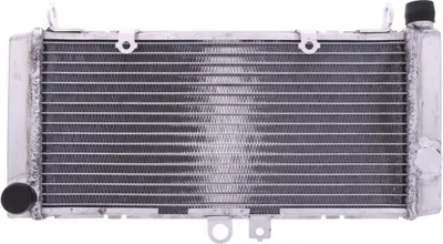 Immagine prodotto di Radiatore acqua JMP KHL_X09 per Honda CBF 600