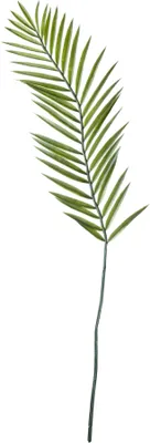 Image de ASA Fern DEKO L. 96 cm 66658444