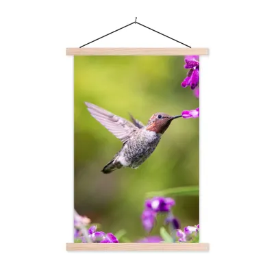 Produktbild von MuchoWow® Textilposter Kolibri - Vogel - Natur 120x180 cm mit holzfarbenen Rahmen - Textil-Plakat