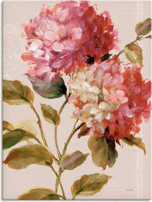 Produktbild von ARTland Leinwandbild Harmonische Hortensien Größe: 60x80 cm