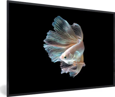 Produktbild von MuchoWow® MuchoWow® Gerahmtes Poster Fisch - Schwanz - Schwarz 60x40 cm - Poster mit zchwarzem Bilderrahmen - Printing - Wanddeko Schlafzimmer