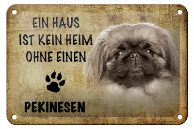 Produktbild von Blechschild Spruch 18x12cm Pekinesen Hund ohne kein Heim