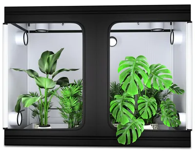 Imagen del producto de Invernadero para plantas de interior, 240x120x200 cm - Caja de cultivo para interior -