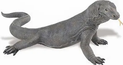 Produktbild von Safari spieltier Komnodowaraan-Eidechse Junior 28 cm grau