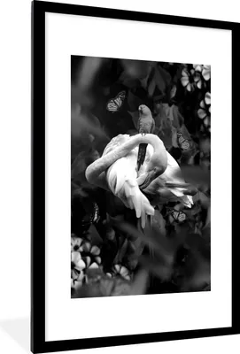 Produktbild von MuchoWow® Gerahmtes Poster Famingo mit Blumen und Schmetterlingen im Dschungel - schwarz und weiß 60x90 cm - Poster mit Schwarzem Bilderrahmen Wandposter Rahmen Foto Bilder - Dekoration - Wandposter Wohnzimmer - Hochwertig
