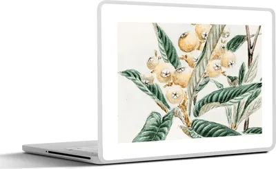 Produktbild von MuchoWow® Laptop Aufkleber Sticker Cover Beere - Blätter - Japanisch 30x22 cm - Laptop-Sticker