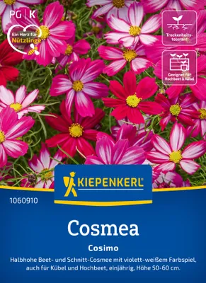 Produktbild von Kiepenkerl Cosmossamen Cosimo Cosmos bipinnatus 30 Pflanzen