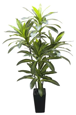 Obrázok produktu pre Umelo vyzerajúci dracena Yucca – umelá rastlina v kvetináči – výška 180 cm – izbová rastlina vhodná do obývačky, kancelárie alebo na balkón – zelená