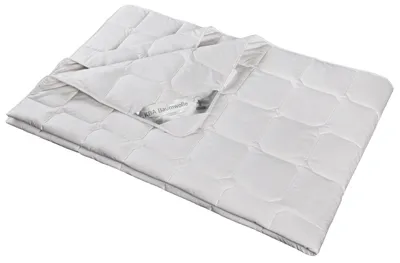 Produktbild von Bettdecke 240x220 Sommer Wild-Seide Bio Baumwolle kbA Natur Nika