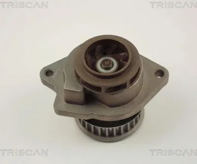 Produktbild von TRISCAN Wasserpumpe 8600 29019