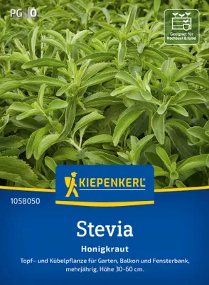 Artikelbild 2 von 'Stevia Honigkraut' aus der Kategorie Steviasamen