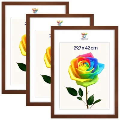 Produktbild von MG Design 3er Set Bilderrahmen Braun A3 29,7x42 cm - Posterrahmen Echtholz mit Acrylglas, stabile Wandaufhängung, hoch/quer
