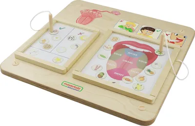 Obrázek produktu pro MASTERKIDZ Vzdělávací Tabule Smysl Chuti Montessori