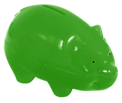 Produktbild von Die Richtung von Schweinern groß