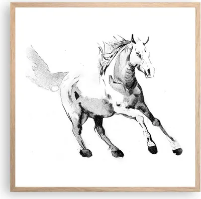 Produktbild von Gerahmtes Poster - Rahmen in heller Eiche - Pferd Galopp Tier - 60x60 cm - Wand Bild - Wanddeko - Wandbilder - Kunstposter - Wandposter - Bilderrahmen - Bilder - Kunstdruck - P2NAC60x60-5117