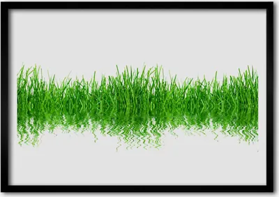 Produktbild von Bild 70x50 MDF-Rahmen Wandkunst Gras Natur Pflanze