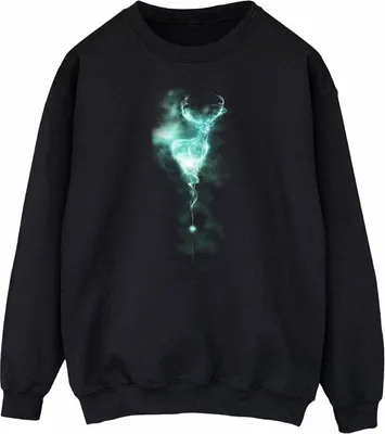 Produktbild von Harry Potter - Sweatshirt für Damen BI2098 (S) (Schwarz)