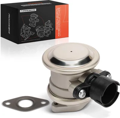 Image de Frankberg 1x système de pompe à air secondaire soupape d'air secondaire pour Audi A3 TT Roadster VW Bora 1.8L 1996-2003