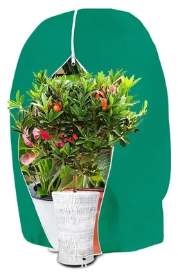 Produktbild von Winterschutz für Pflanzen 80x100cm Grün Vlies mit Zugband
