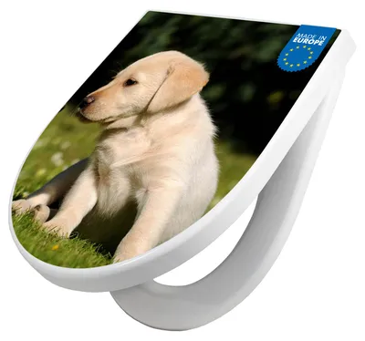 Produktbild von WC Sitz mit Absenkautomatik D Form Motiv Labrador [TDW3 10200]