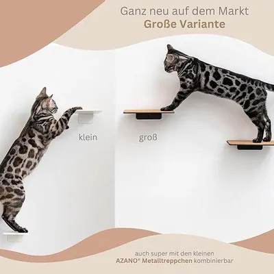 Image de Piège pour petits animaux (chat/chien) 25 x 19 x 6 cm