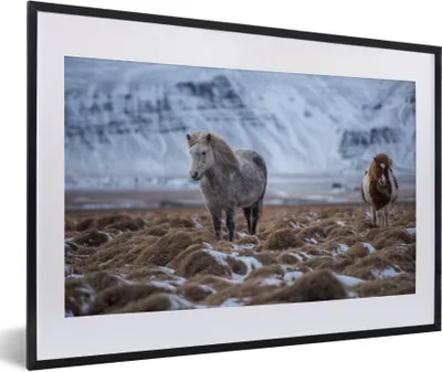Produktbild von MuchoWow® Gerahmtes Poster Island - Pferde - Schnee 60x40 cm - Poster mit Schwarzem Bilderrahmen Wandposter Rahmen Foto Bilder - Schlafzimmer - Plakat in Rahmen - Drucken
