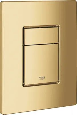 A close-up studio shot of a gold-colored toilet flush plate.