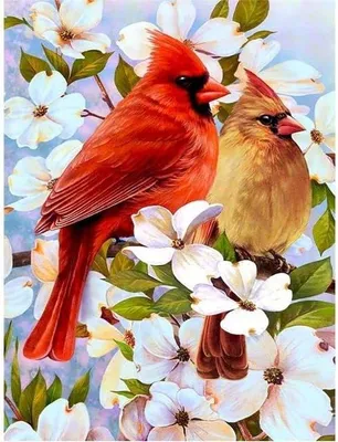 Produktbild von Malen nach Zahlen: Vögel unter Blumen, 50x40 cm, mit Rahmen, kreativ