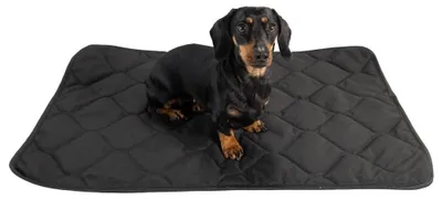 Zdjęcie produktu dla Elzusha - Mata dla psów, wodoodporna - 80 x 60 cm - Ochrona przed zabrudzeniami - Odporna na zarysowania - Wypełnienie: 300 g/m² - Można prać w temperaturze do 40°C - Łóżko dla psa