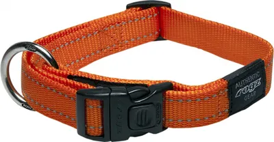 Obrázek produktu pro obojek pro psy 43-75 x 2,5 cm Nylon oranžový