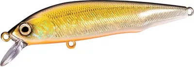 Produktbild von Shimano Cardiff Flügel Flat 70F 004