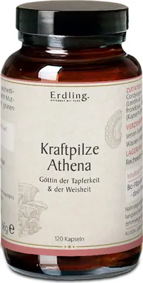 Produktbild von BIO Kraftpilze Athena - Vitalpilz Synergetikum - 120 Kapseln