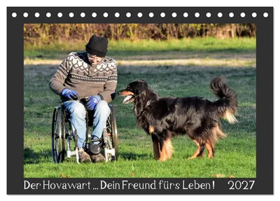 Produktbild von Der Hovawart... Dein Freund fürs Leben! (Tischkalender 2027 DIN A5 quer), CALVENDO Monatskalender