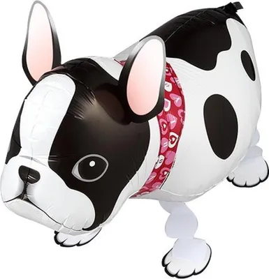 Zdjęcie produktu dla Balon foliowy Airwalker Bulldog pies, ok. 28 x 61 cm