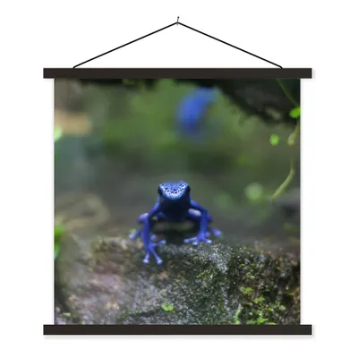 Produktbild von MuchoWow® Textilposter Blauer Frosch im Dschungel 90x90 cm mit schwarzem Rahmen - Magnetisches
