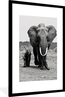 Produktbild von MuchoWow® MuchoWow® Gerahmtes Poster Elefant - Kind - Schwarz - Weiß 60x90 cm - Poster mit zchwarzem Bilderrahmen - Dekoration - Wandposter Wohnzimmer - Hochwertig