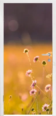 Produktbild von MuchoWow® Türtapete Selbstklebende Türfolie Blumen - Hell - Rosa 85x205 cm Türposter Türaufkleber Klebefolie Türklebefolie - Türverzierung - Türen Dekoration - Plakaten