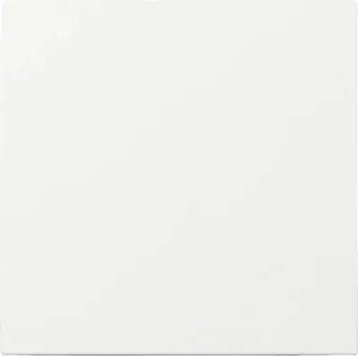 Immagine prodotto di Gira interruttore a bilanciere, diritto, sistema 55, bianco puro, 1 pz.