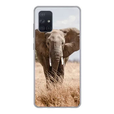 Produktbild von MuchoWow® Handyhülle Schutzhülle Hülle für Samsung Galaxy A51 Elefant - Natur - Tiere - Porträt Silikon Softcase Handy Hülle - Schutzabdeckung