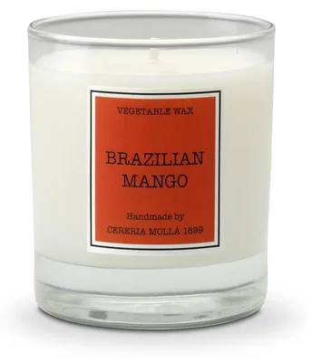 Immagine prodotto di KERZE Duftkerze Sojawachs Deko Kerze CERERIA MOLLA BRAZILIAN MANGO 230 g