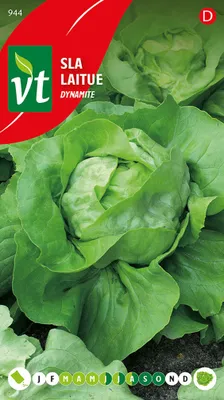 Obrázek produktu pro Semena dynamitového salátu - cca 0,6 gr | VT_944