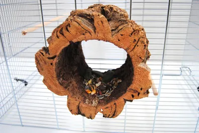 Produktbild von Naturprodukt Ringa Unterschlupf als Schlaf-und Futterplatz für Kleintiere