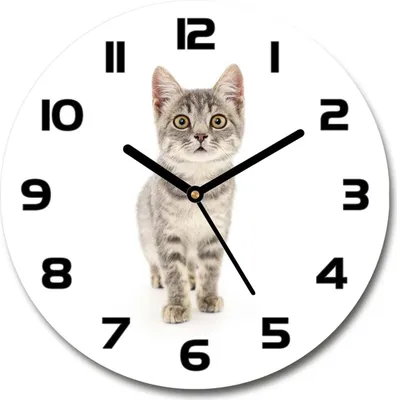 Produktbild von Wanduhr aus Glas 30fi Glasbild Glasuhr Gehärtetes Glas - schwarze-zeiger - Gray cat