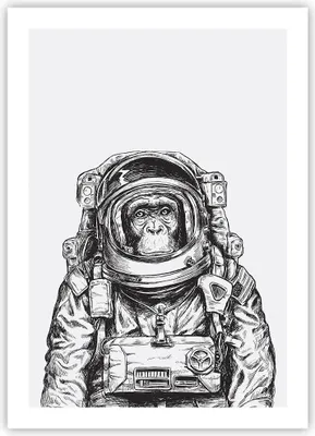 Produktbild von Poster - Poster ohne Rahmen - Schimpanse Astronaut Zeichnung - 50x70 cm - Wand Bild - Wanddeko - Wandbilder - Kunstposter - Wandposter - Bilder - Kunstdruck - Wandbild - P2XPA50x70-4312