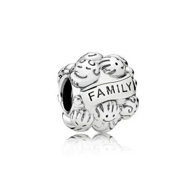 Image de PANDORA Charm en argent, thème : amour familial, référence : 791039