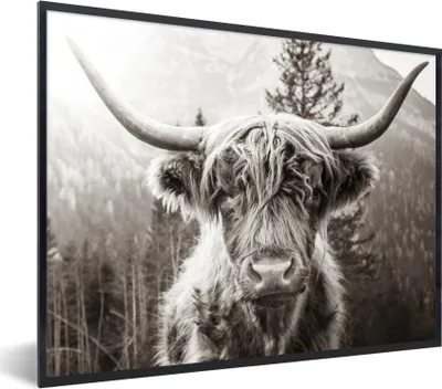 Produktbild von MuchoWow® Gerahmtes Poster Schottischer Highlander - Kuh - Tiere - Schwarz - Weiß 80x60 cm - Poster mit Schwarzem Bilderrahmen Wandposter Rahmen Foto Bilder - Schwarzem - Mit Gestell