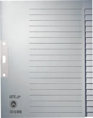 Produktbild von Leitz Register Blanko, Papier, Grau, Papier, Blank
