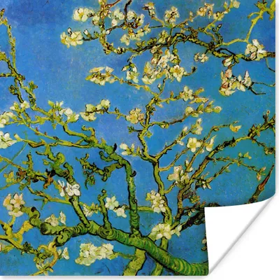Produktbild von MuchoWow® Poster Mandelblüte - Vincent van Gogh 75x75 cm - Wand Dekoration