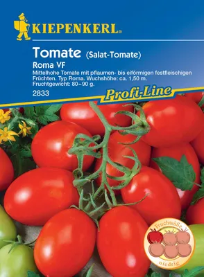 Produktbild von Salat-Tomate Roma VF (Eiertomate/ Romatomate), pflaumen- bis eiförmige festfleischige Früchte
