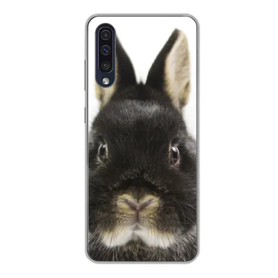 Produktbild von MuchoWow® Handyhülle Schutzhülle Hülle für Samsung Galaxy A50 Kaninchen - Haustiere - Fell Silikon Softcase Handy Hülle - Mobiltelefonhülle